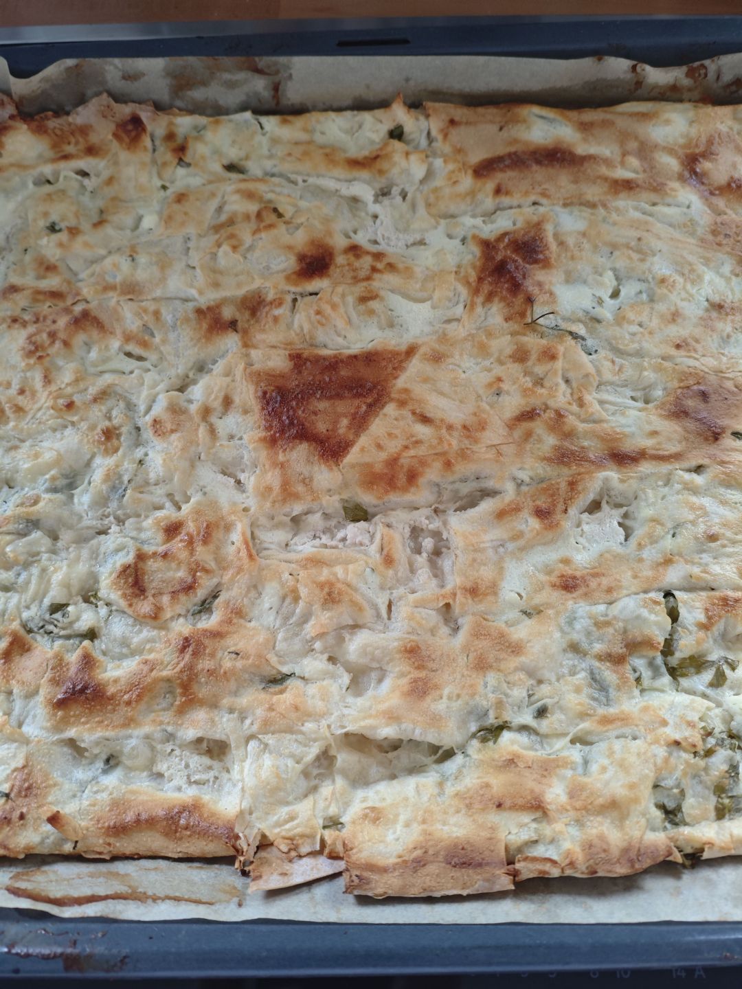 Bildrechte: F. Lorenz