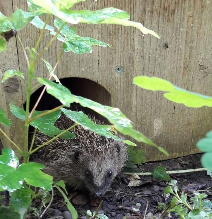 Bildrechte: Ninja Winter