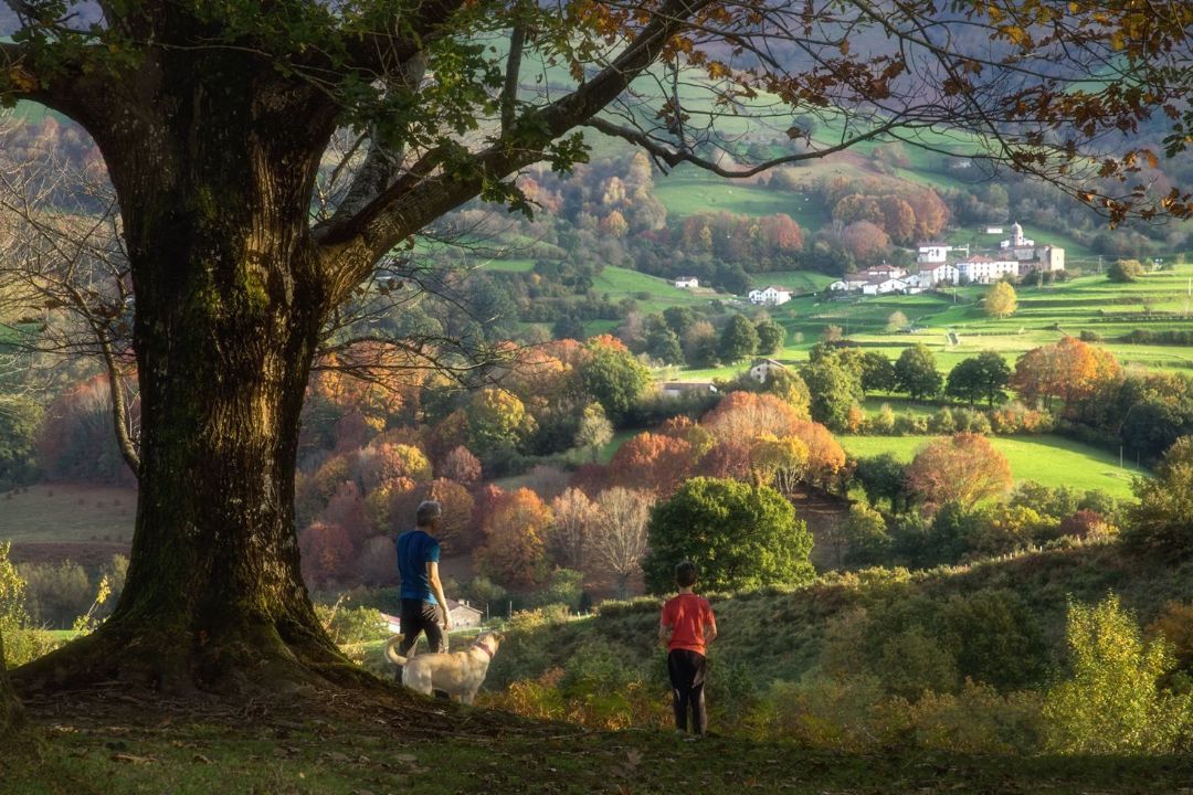 &copy;Ziga_Baztan I&ntilde;aki Tejerina . Turismo de Navarra