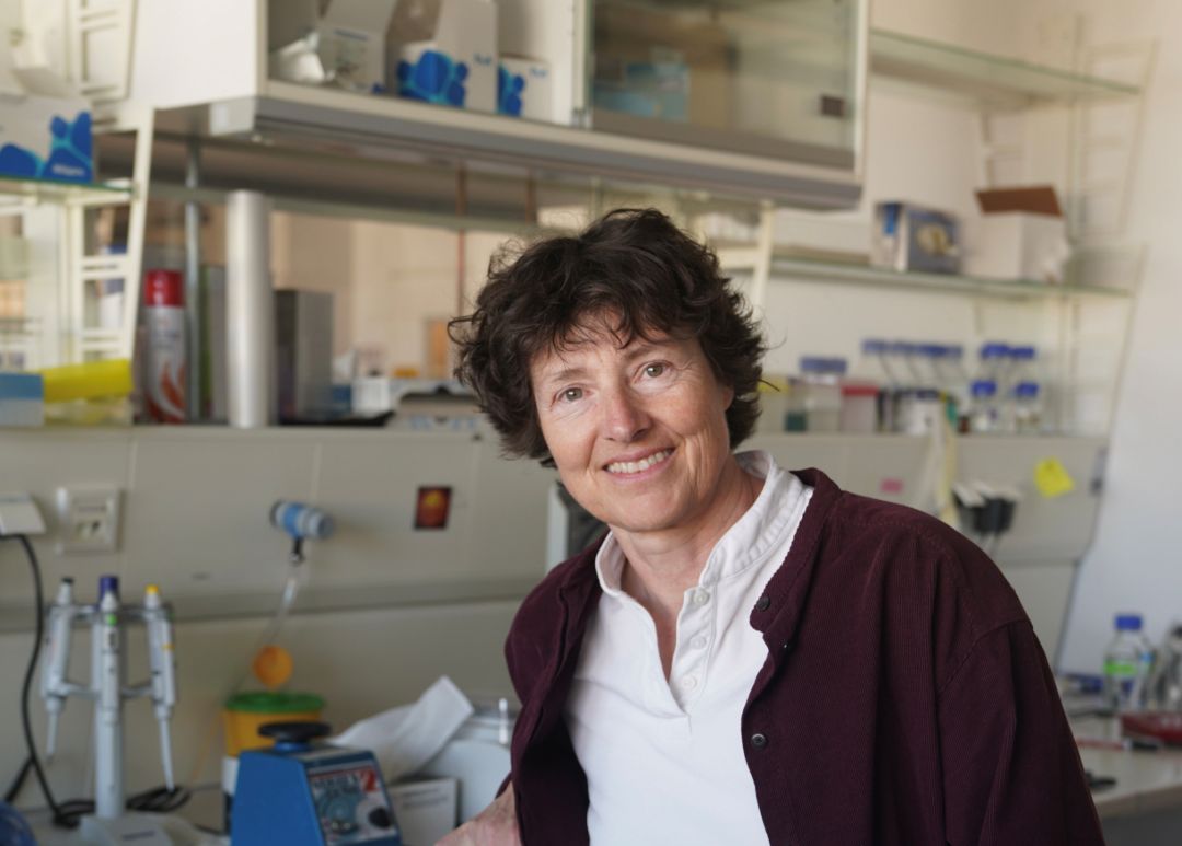 Schwille_Petra_ProfDr&copy;MPG
